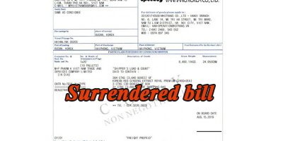 surrendered bill là gì